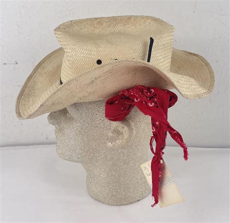 Vintage Stetson Stallion Cowboy Hat