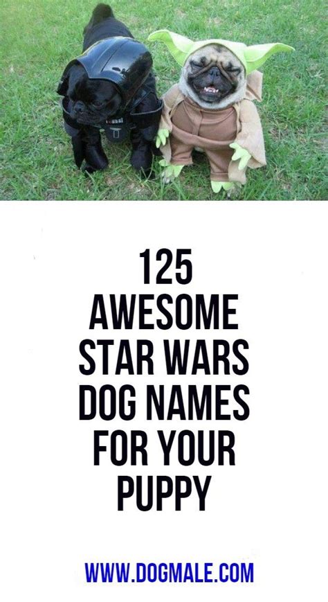 125 Awesome Star Wars Dog Names For Your Puppy Dog Names War Dogs