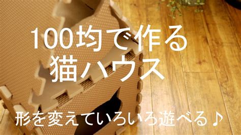 100 things to do by shelly 15. 100均DIY「猫ハウス」ダイソー凄いね!～ぷちふる～ - YouTube
