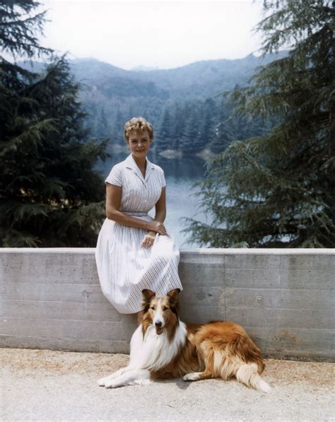June Lockhart With Lassie C 1959 She Started In The 5th Season
