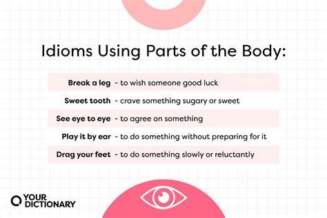 Common Idioms Using Body Parts Yourdictionary