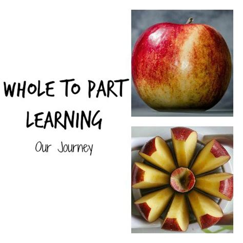 Whole To Part Learning Our Journey Eclectic Homeschooling