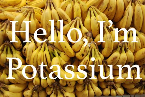 Potassium Bananas A Love Letter To Food