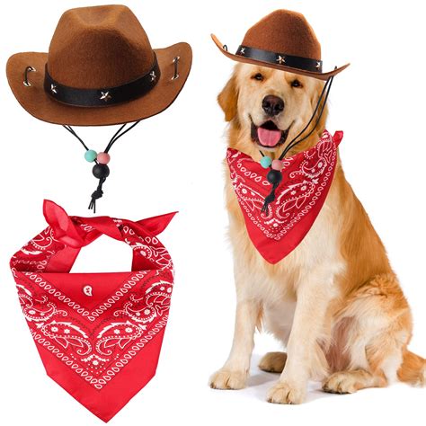 Dog With A Cowboy Hat Ubicaciondepersonascdmxgobmx