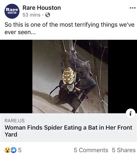 thanks i hate bat eating spiders r tihi