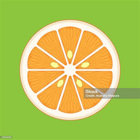 Orange Fruit Hesperidium Green Background Stock Illustration Download