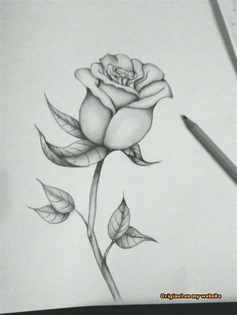 Art Sketches Ideas First Attempt At A Black And Grey Rose Best Art