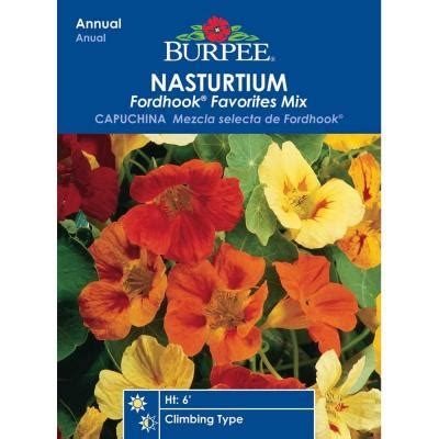 We did not find results for: Burpee Nasturtium Fordhook Favorites Mix Seed-36770 - The ...