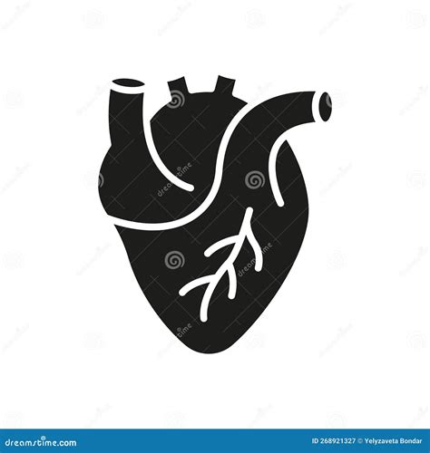 Human Heart Silhouette Icon Medical Cardiology Glyph Symbol Anatomy
