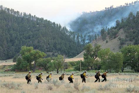 Wyoming Hot Shots Walk To Their Assignment Photograph By Bill Gabbert