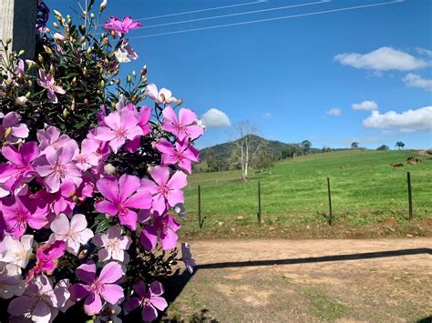 PREVISÃO DO TEMPO: Mínimas de inverno em novembro? Confira os registros