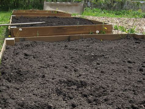Seedlings can work their way through a thin layer of mulch, but too. Arrowhead Alpines Blog: Experiment of the year ...