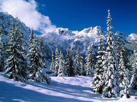Картинки зимний пейзаж 100 фото • Прикольные картинки и позитив