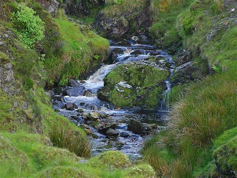 Free Picture Glengesh Pass Ireland Stream Brooks Water Moss
