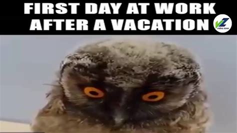 25 When Vacation Starts Meme Pics The O Guide