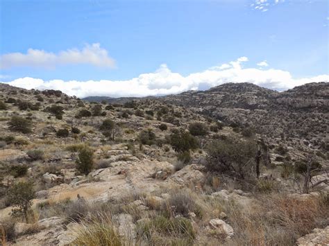 This third edition of hiking arizona's cactus country explores a broad swath of the sonoran desert that. Exploring the American West: Tanque Verde Ridge to Juniper ...