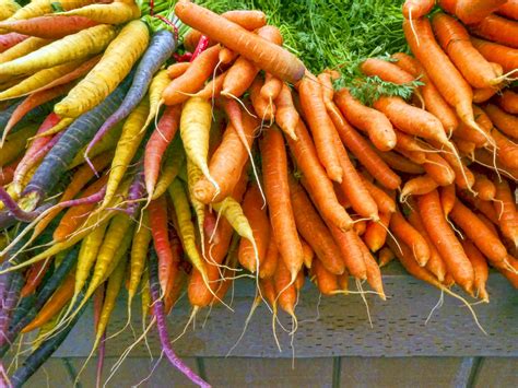 Freshly Picked Carrots Free Stock Photo Public Domain Pictures
