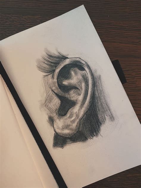 ear sketch | Female sketch, Artsy, Art