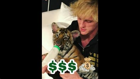 Logan Paulnew Pet Tigerworth 5000 Youtube