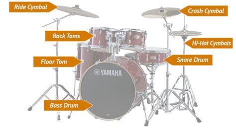 Choosing Your First Drum Set Reverb News