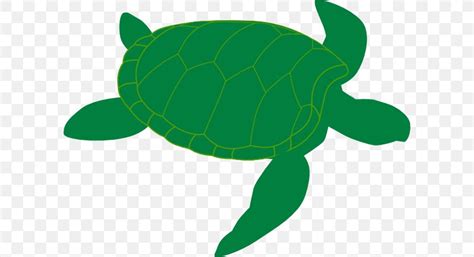 Green Sea Turtle Clip Art Clip Art Library