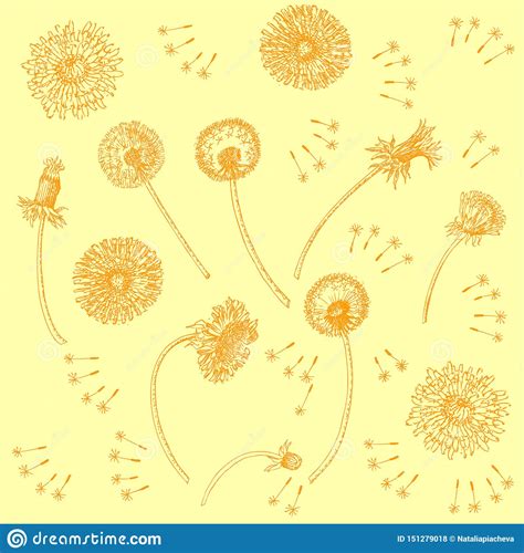 Dandelions Flowers Seamless Pattern Hand Drawn Sketches Stock Vector