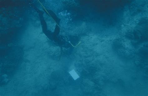 1500 Year Old Wrecksite Underwater Archaeology Olds