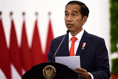 Jokowi Minta Ikn Masuk Proyek Strategis Nasional Papuabaratnews Co