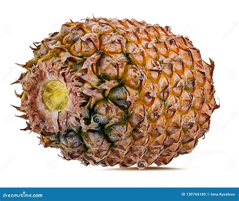 Fresh Pineapple Isolated On White Stock Image Image Of Pineapple