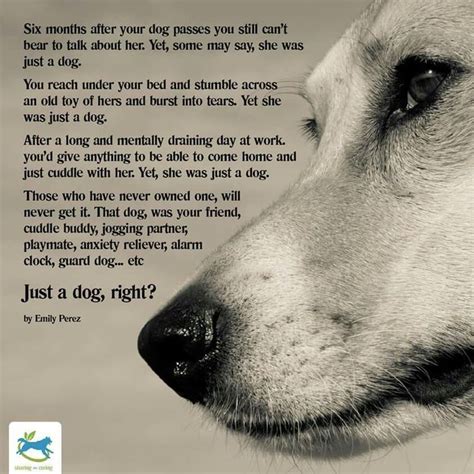 Pin By Nancy Myrland Marketing And So On Puppy Love Dog Poems Dogs