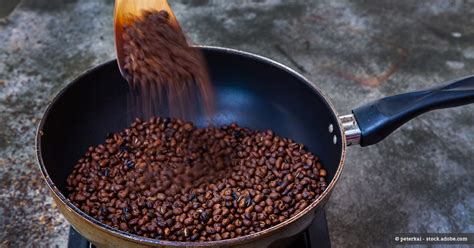 Schutzmaßnahmen, um den ungebetenen gast fernzuhalten es ist nicht ganz einfach, waschbären vollständig vom grundstück fernzuhalten. Kaffee selber rösten - Geht das wirklich zu Hause ...