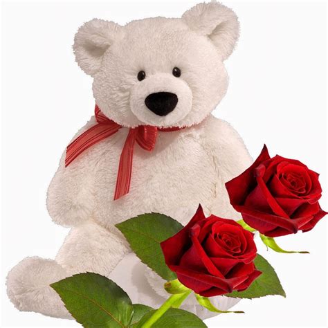 Lovely And Beautiful Teddy Bear Wallpapers ~ Allfreshwallpaper