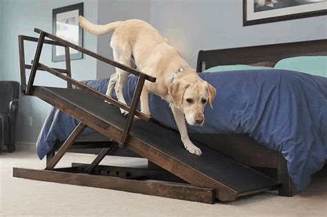 Doors Gates And Ramps Wood Dog Ramp Foldable Long Ramps Dog Ladder With