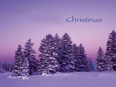 Merry Christmas Christmas Wallpaper 32790477 Fanpop