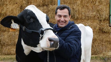 Femme 50 ans nue / photos amateur de filles habill. Elecciones en Andalucía Vacas flacas para los dos bloques ...