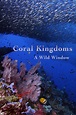 Coral Kingdoms | Wild Window