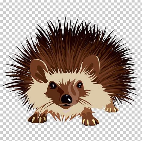 Hedgehog Clipart Angry Pictures On Cliparts Pub 2020 🔝