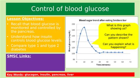 Controlling Blood Glucose Teaching Resources