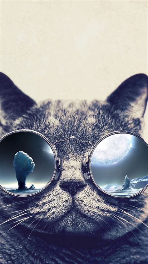Cool Cat Wallpapers 71 Images