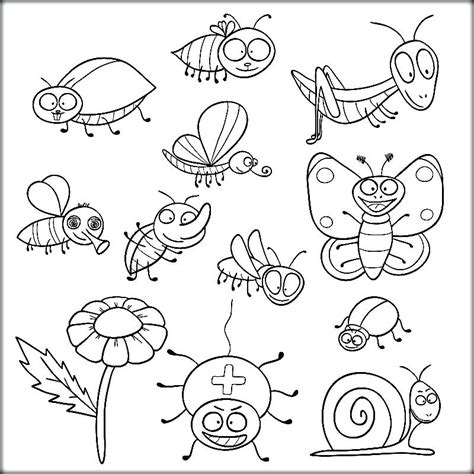 Insect Coloring Pages At Getdrawings Free Download