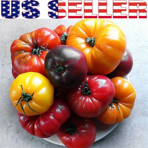 30 Organic Deluxe Tomato Seeds Mix 18 Varieties Giant Heirloom Non Gmo
