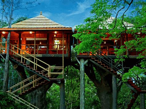 Looking To Stay In A Tree House In Kerala 15 Best Treehouse Resorts