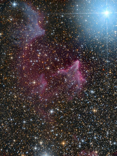 Ic59 Ic63 Gamma Cas Experienced Deep Sky Imaging Cloudy Nights