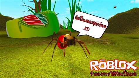 Roblox Ant Simulator จำลองการเป็นมด สุดเซ็ง Youtube