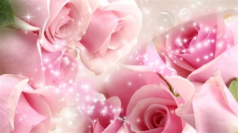 Pink Rose Glitter Wallpapers Top Free Pink Rose Glitter Backgrounds