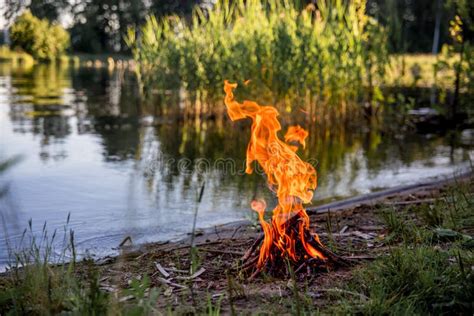 Beautiful Campfire In The Evening At Lake Fire Burning In Dusk At