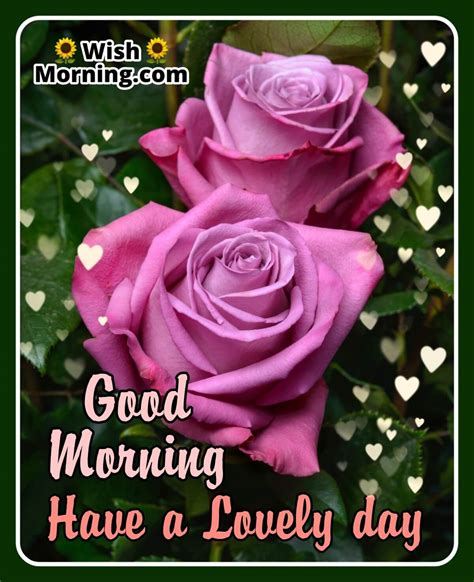 Good Morning Wishes With Rose Flower Wish Morning