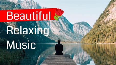 🌹beautiful Relaxing Music For Stress Relief ⎪ Meditation Music⎪sleep