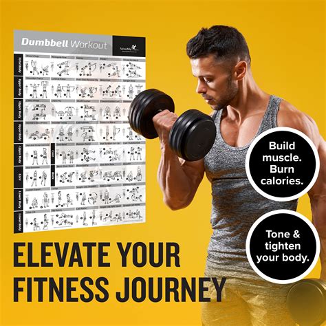 Newme Fitness Dumbbell Workout Exercise Poster Laminated Strength