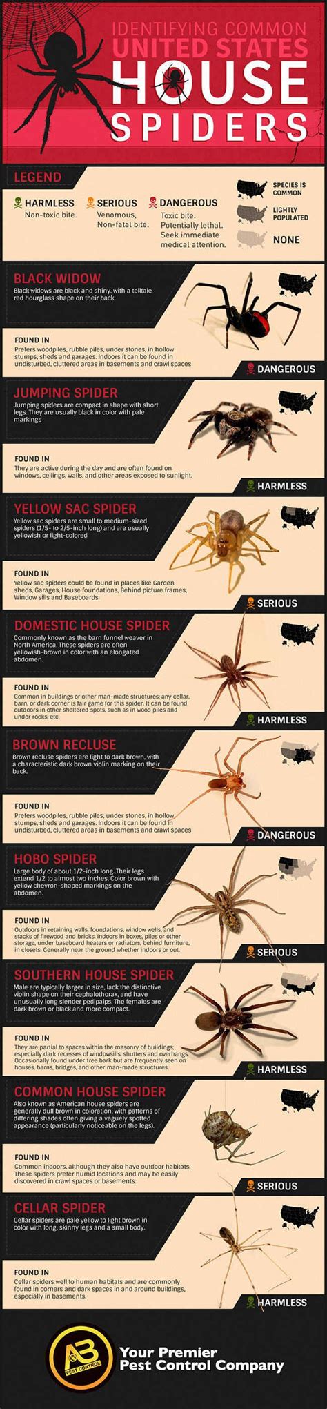 11 Best Spider Bite Images On Pinterest Health Spider Bites And